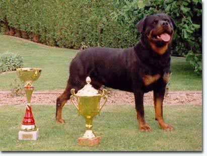 Baika von den Ellwanger Bergen