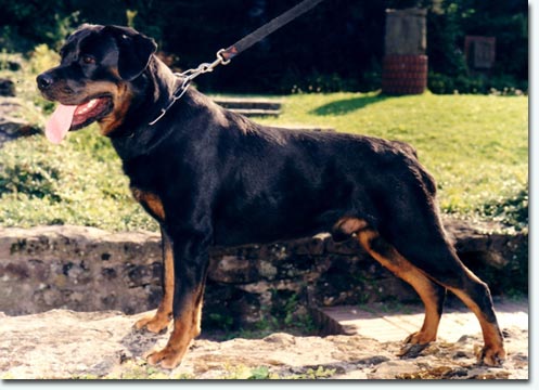 Butscher vom K&uuml;mmelsee