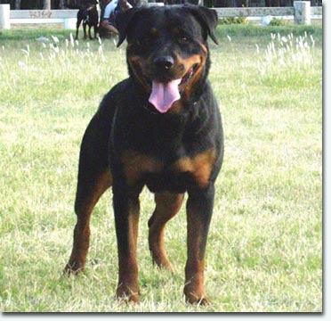 Bea von der Hansestadt Bremen