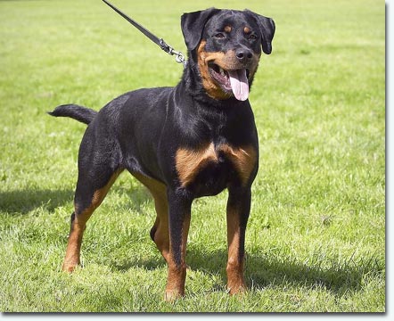 Beertje vom&nbsp;Cassanova