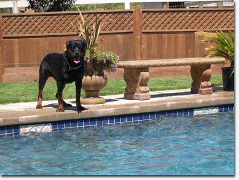 Chakka von der Berghalbinsel