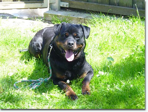 Chuck von der Berghalbinsel