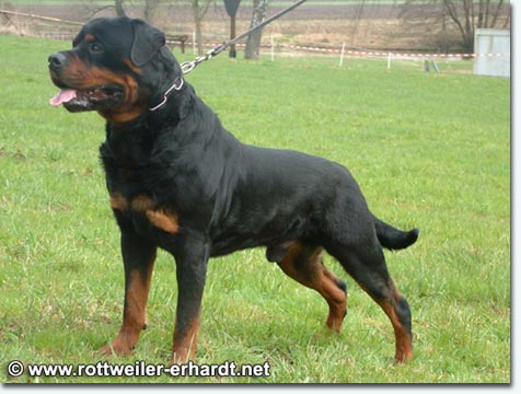 Connen vom Brombachsee