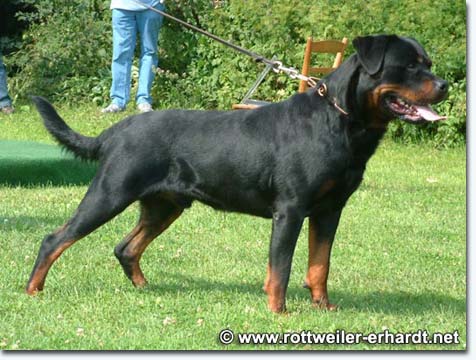 Emil von der Teufelsbr&uuml;cke