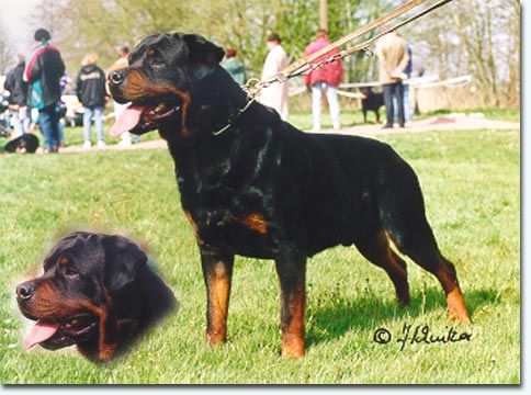 Erco vom Faust-Schl&ouml;ssl