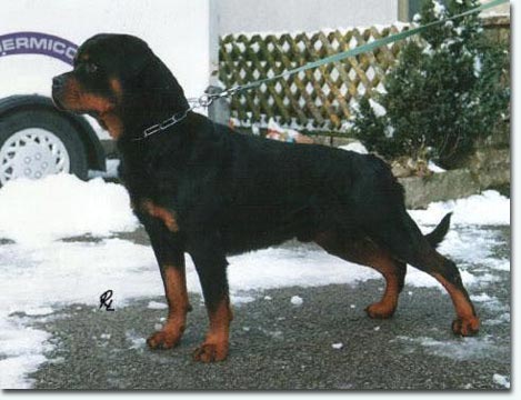 Fanto vom K&uuml;mmelsee