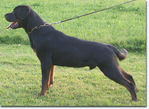 Fax von der Berghalbinsel