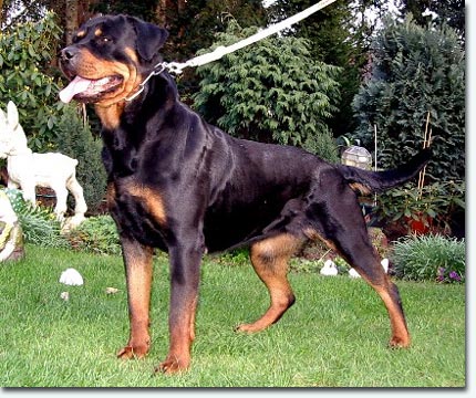 Funny vom Sch&ouml;nberg