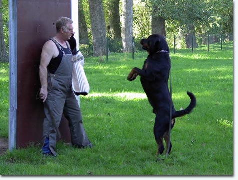 Ghino vom Storcheng&auml;ssle