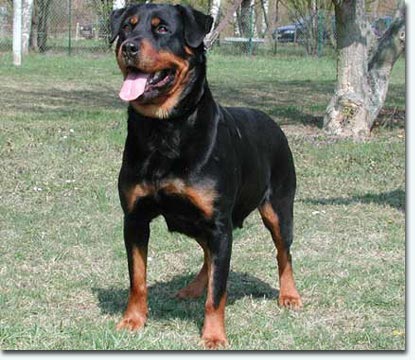 Imenty vom Hof Engelkamp