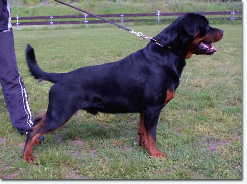 Irk von der Holzhaussiedlung