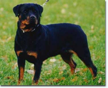 Katja von der Silbergrube