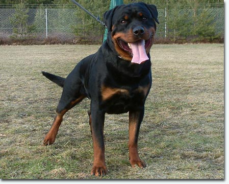 Kliff vom Schwaiger Rathaus