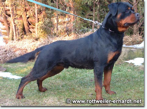 Lewis vom K&uuml;mmelsee