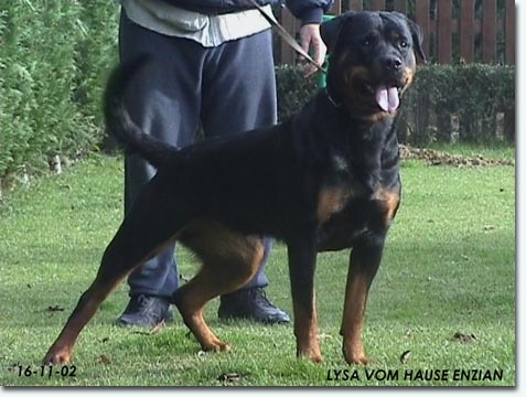 Lysa vom Hause Enzian