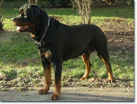 Maik vom Wilden&nbsp;Westen