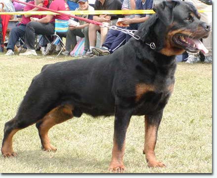 Morro vom Hause M&auml;rker