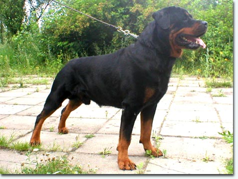 Quanto vom Vilstaler Land