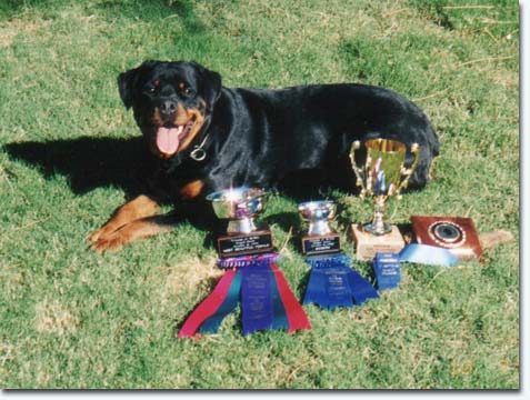 Quini von der Berghalbinsel