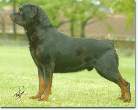 Quinn vom K&uuml;mmelsee