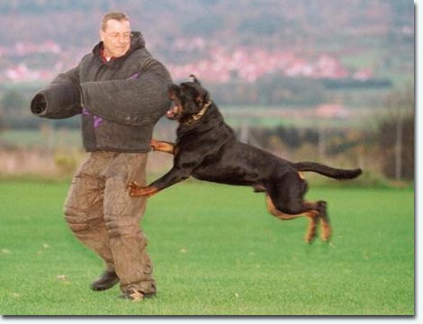 Santo vom Schlosshof