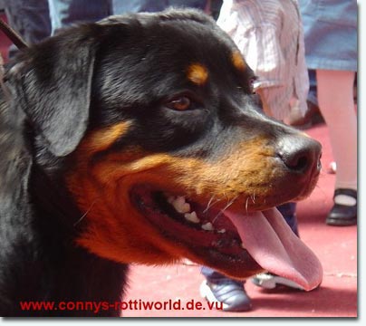 Zar vom Aalener Spion