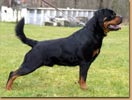 Balco aus der Espenst&auml;tte