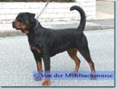 Gunda von den Hassbergh&ouml;hen